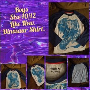 Boys Dinosaur Shirt.